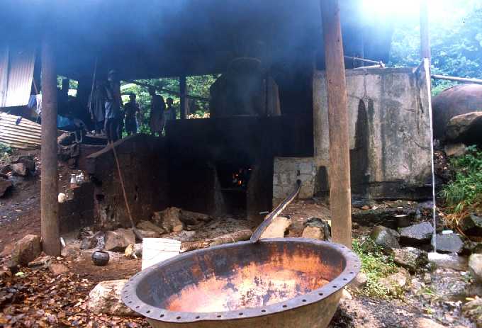 Bay Rum distillation