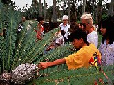 Fairchild education programs give children and their teachers an opportunity to explore and enjoy nature.