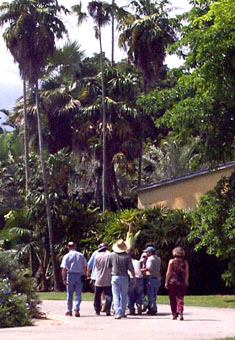 A. titanum moves through the Garden