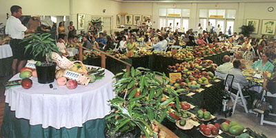 Mango Brunch and Mangos of the World display