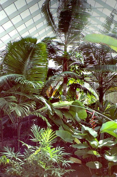 Entrance to the Conservatory