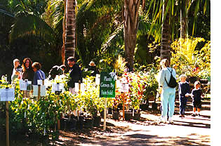 Plant Sale